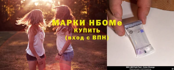дмт Бородино