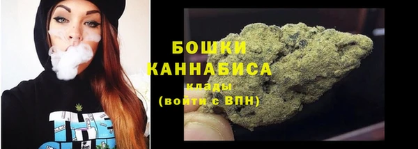 гидра Верея