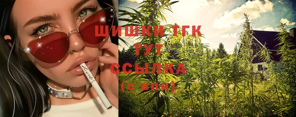 дмт Бородино