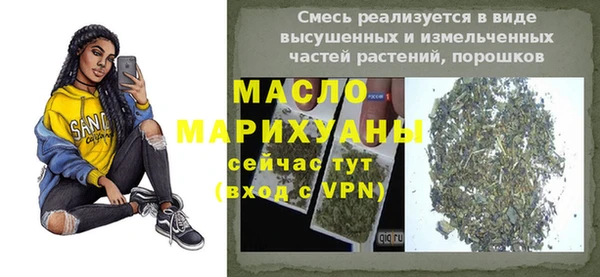 дмт Бородино