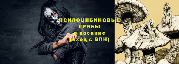 мдпв Лихославль