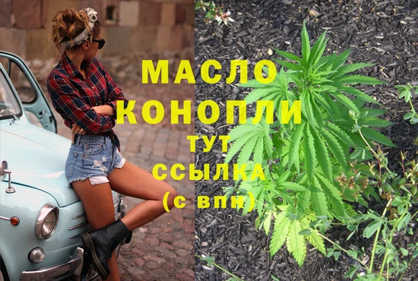 гидра Верея