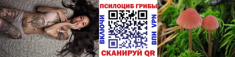 Псилоцибиновые грибы прущие грибы  Кадников 