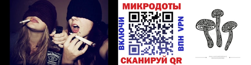 Псилоцибиновые грибы Psilocybine cubensis Кадников